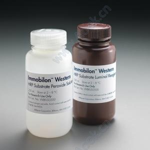 イモビロン ウェスタン 化学発光 HRP 基質，500mL [WBKLS0500]