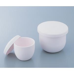 アルミナるつぼ　１０００ｍｌ [1-7745-05]