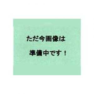 ガラスろ過器　１ＧＰ１００　るつぼ形　４０－１００μｍ 013050-1100A