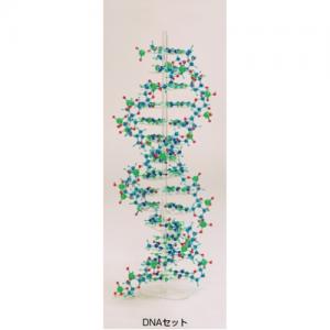 分子構造模型   フラ－レン・ナノチューブセット&#40;コバルトブルー&#41;/KN3138572