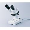 双眼実体顕微鏡単一倍率Ｓ−２０Ｌ　６０× [2-4073-03]