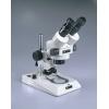 实体显微镜（变焦式）ズーム実体顕微鏡MICROSCOPE