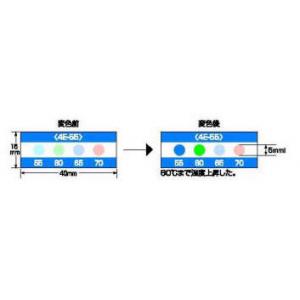 不可逆性　サーモラベル |||４Ｅ－６５　２０枚入  