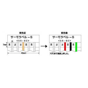 不可逆性　サーモラベル |||５Ｓ－６０　２０枚入  