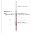 ガステック　ガス検知管 |||１Ｌ　一酸化炭素  