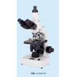 カートン光学　Ｍ９２６５ |||生物顕微鏡  